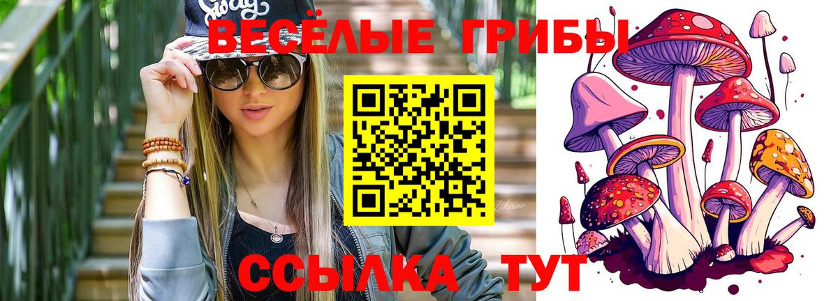 Магадан  Псилоцибиновые грибы мухоморы  Вход с VPN 