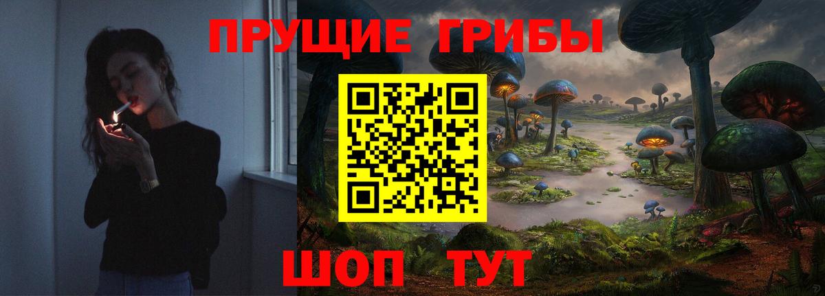 Галлюциногенные грибы Cubensis Магадан